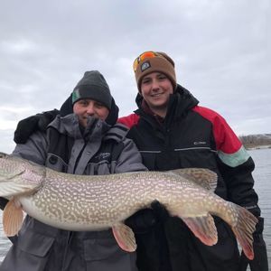 Meet your Posher, Levi